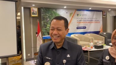 Pokjanal