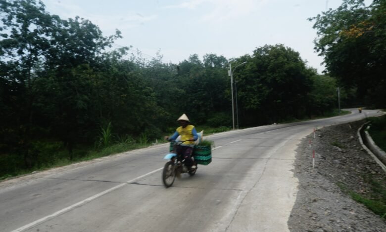 Jalan Dukuhseti–Tayu