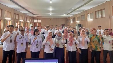 DINSOSP3AKB Pati