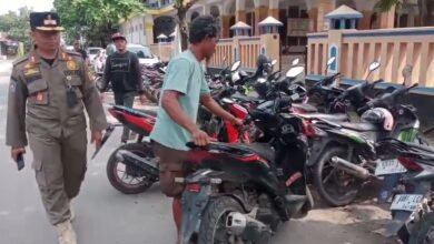 Parkir Liar