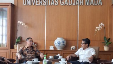 Bupati Pati