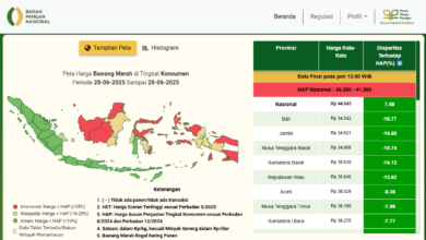 Harga Bawang Merah dan Cabai di Pasar Mulai Turun di Angka 50 Ribu Rupiah